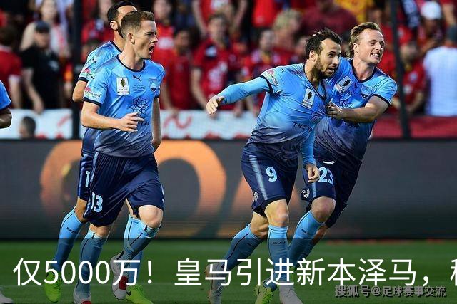 仅5000万！皇马引进新本泽马，穆帅4231战术升级，瞄准西甲欧冠双冠