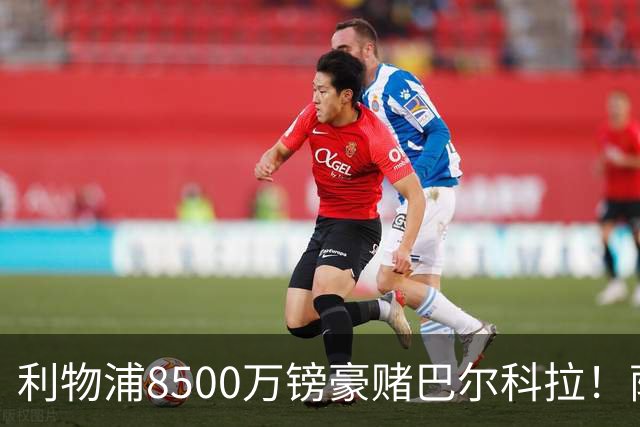 利物浦8500万镑豪赌巴尔科拉！萨拉赫接班人数据对比太悬殊，红军真能赌对？