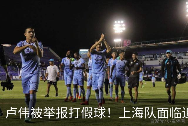 卢伟被举报打假球！上海队面临追罚，张镇麟坑惨球队