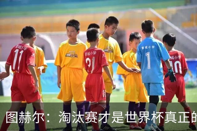 图赫尔：淘汰赛才是世界杯真正的开始，比赛越重要我们表现会越好