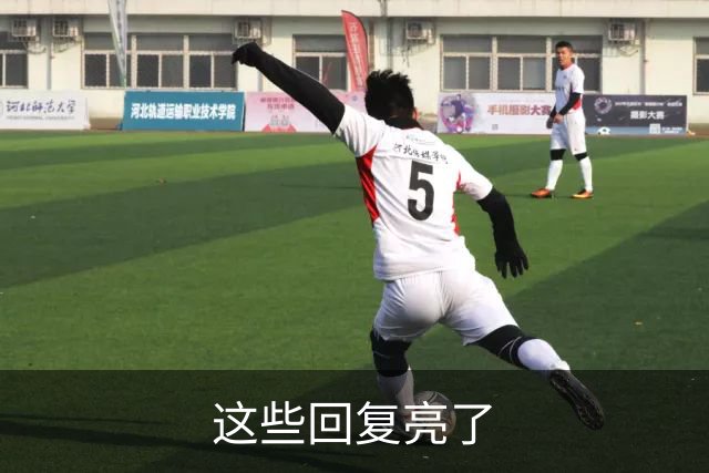 这些回复亮了